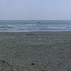 Cure Japanese Movie photo