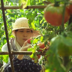 Little Forest: Summer & Autumn (2014) photo