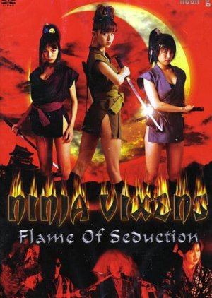 Ninja Vixens: Flame of Seduction (2002) poster