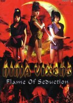 Ninja Vixens: Flame of Seduction Japanese Movie photo