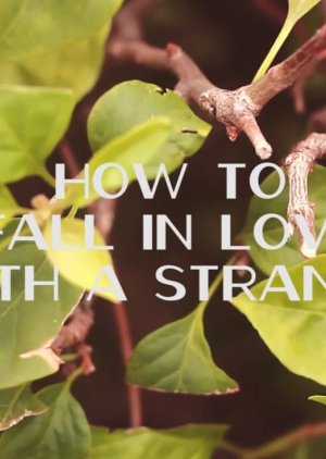 How To Fall In Love With A Stranger (2012) poster