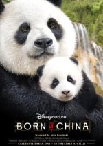 Born in China Chinese Movie photo