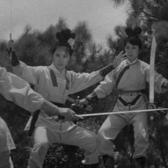 Vengeance of the Phoenix Sisters Taiwanese Movie photo