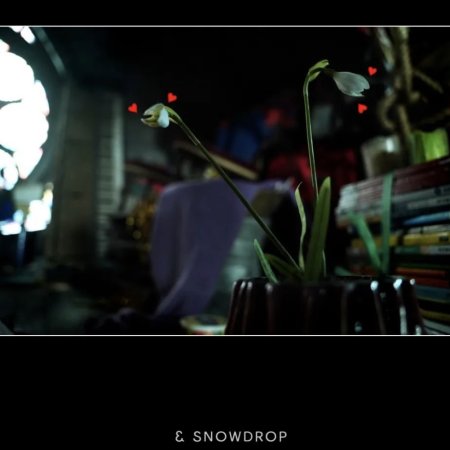 Snowdrop (2021)