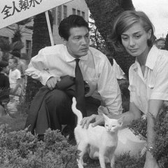 Hiroshima Mon Amour Japanese Movie photo