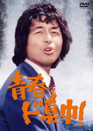 Seishun Domannaka! (1978) poster