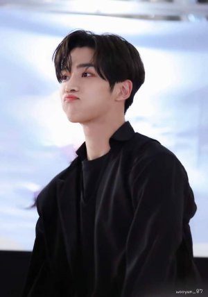 Дарья Волкова