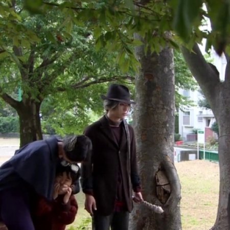 Kamisama no Boto  (2013)