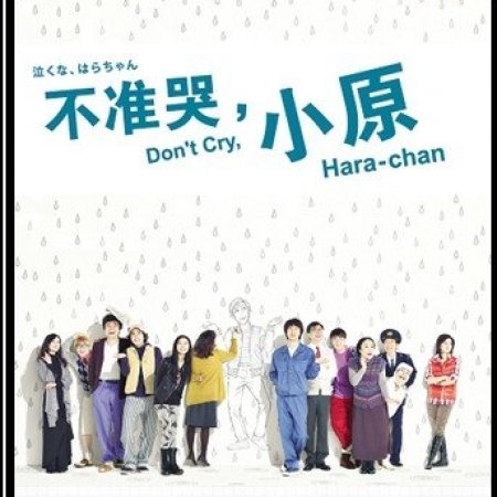 Kamisama no Boto  (2013)