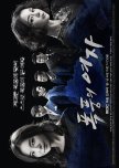 Ladies of Storm korean drama review