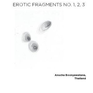 Erotic Fragments No. 1, 2, 3 (2011)