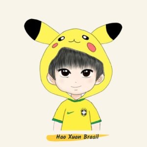 wanghaoxuanbrasil