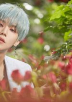 Cramped Love Korean Drama photo