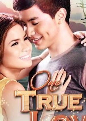 One True Love (2012) poster
