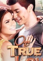 One True Love Philippines Drama(2012) photo