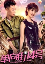 Covenant Love Chinese Movie(2018) photo