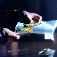 Killer Clans Hong Kong Movie photo