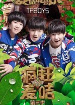 Crazy Wheat Card: Season 3