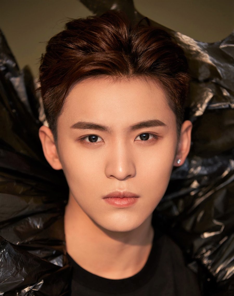 Фань ши ци фото. Shi. Ли ши ци. Ли хонг чи. Жэнь цаньцань.