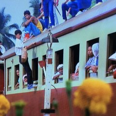 Peesua Lae Dokmai Thai Movie(1985) photo