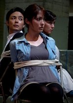 The Gold Case Japanese Drama(2012) photo