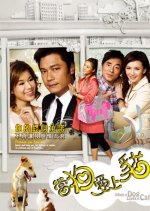 When a Dog Loves a Cat Hong Kong Drama photo