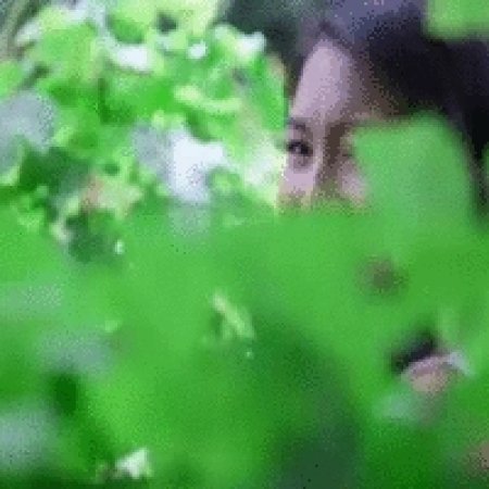 Kamisama no Boto  (2013)