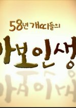 The Fool Life of the Dogs Born in 1958 Korean Drama photo