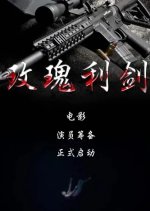 Mei Gui Li Jian Chinese Movie photo