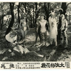 Da Xia Mei Hua Lu Taiwanese Movie photo