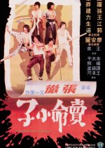 The Magnificent Ruffians Hong Kong Movie photo