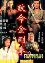 Power of First Fight Hong Kong Movie photo