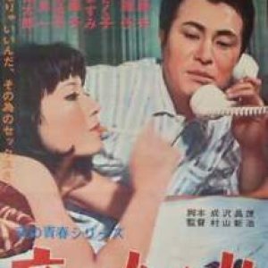 Yoru no Mesuinu (1966)