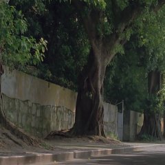 Passion Island Hong Kong Movie photo