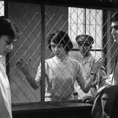 The Sleeping Beast Within Japanese Movie photo