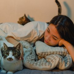 Where Would We Go Korean Movie(2021) photo