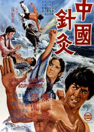 Chinese Kung Fu and Acupuncture (1973) poster