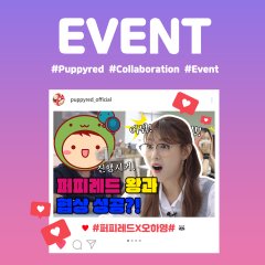 Puppy Red Korean TV Program photo