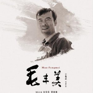 Mao Fengmei (2017)