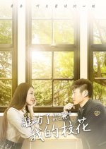 Who Stole My Girlfriend?