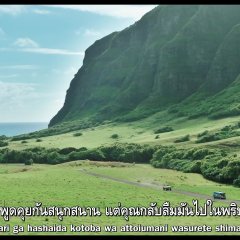 50 First Kisses Japanese Movie photo