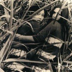 Female Prisoner #701: Scorpion Japanese Movie(1972) photo