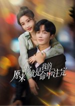 You Are My Destiny Chinese Drama(2024) photo