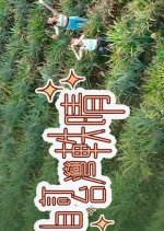 Follow Your Canday Hong Kong TV Program photo