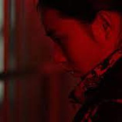 The Foolish Bird Chinese Movie photo