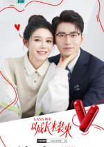 President's Laws of Love Chinese Drama photo