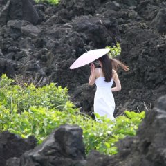 Petrel Hotel Blue Japanese Movie photo