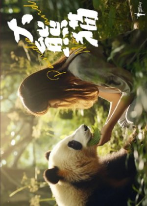 Panda & Me () poster