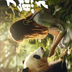 Panda & Me ()