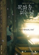 When We Bloom Again Korean Movie photo